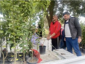 participated in the National Tree Planting Day campaign,